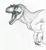 Allosaurus Dinosaur Jurassic Carnivorous sketch template