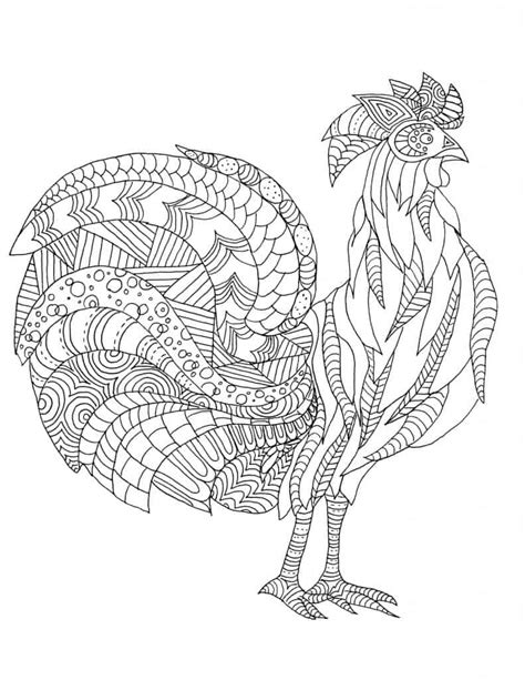 rooster coloring page backyard chicken project