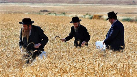 israel s latest battle pits ultra orthodox jews against
