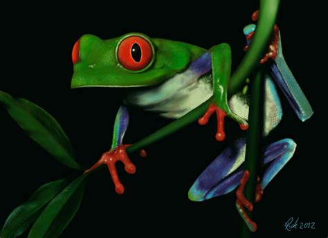green tree frog digital painting  rick lilley  deviantart