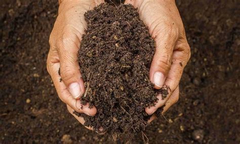 save  soils food tank