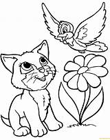Cat Pages Playing Bird Coloring Color Print sketch template
