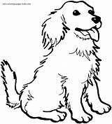 Coloring Pages Dog Animal Book sketch template