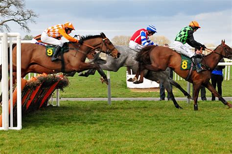 horse racing flickr photo sharing