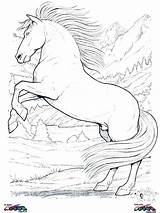 Coloring Pages Horse Horses Clydesdale Indian Girls Getcolorings Getdrawings Print Colorings Printable sketch template