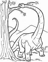 Dinosaurio Dinosaurios Diplodocus Comiendo Pekegifs Ninos Realistic Informacion Dinossauros Pamela Clampet Acessar Dinos Niños Preschool Brachiosaurus sketch template