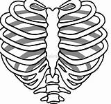 Rib Clipartbest Skeleton Ribcage sketch template