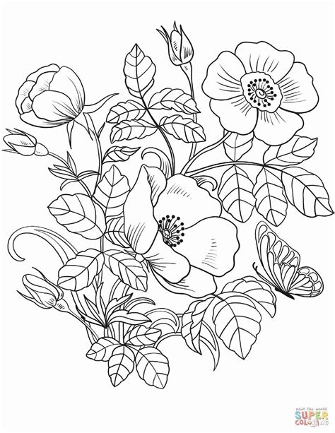 spring flower coloring pages fresh spring flowers coloring page