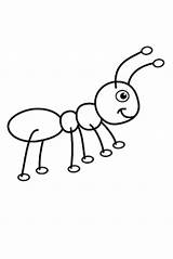 Ant Ameisen Kindergarten Ameise Ausmalbild Einfache Malvorlage Invitationurn Nael sketch template