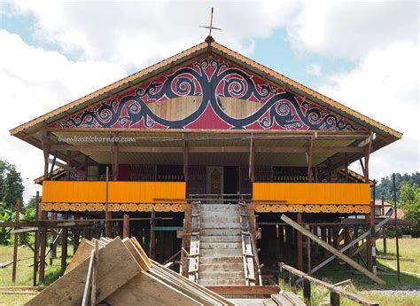 49 Rumah Adat Suku Dayak Kalimantan Barat Terbaik Top Gambar Rumah 24