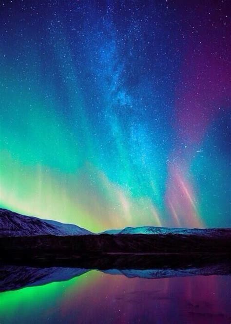 berco ate ao tumulo aurora borealis  aurora australis