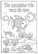 Mooiste Zee Vissen Oceaan Tekeningen Bijbelse Windstreken Downloaden Uitprinten Onderwater Vierwindstreken Terborg600 sketch template