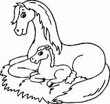 Fohlen Pferde Ausdrucken Kostenlos Malvorlagen Besten Einhorn Mytie sketch template