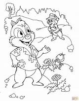 Coloring Chip Dale Pages Rangers Skip Main Printable sketch template
