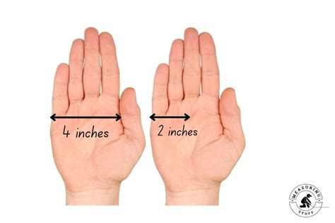centimeters   inches mandidoltin