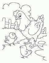 Coloring Chicken Baby Pages Popular sketch template