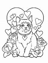 Gatti Colorare Disegni Valentines sketch template