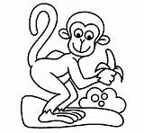 Mono Scimmietta Monkey Colorare Singe Gracioso Macacos Gorilas Acolore Funny Monos Micos Coloritou Disegni sketch template