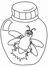 Coloring Bug Pages Lightning Bugs Firefly Color Clipart Preschool Animals Pill Ladybug Firefly2 Bolt Printable Drawing Template Pennsylvania Kids Insect sketch template