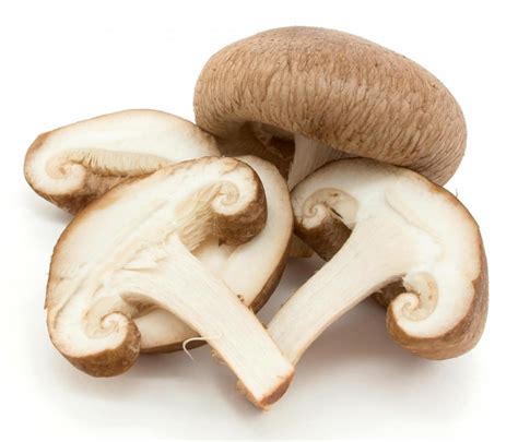 health benefits  mushroom consumption video  sleuth journal