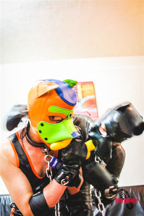 Two Rubber Puppies Playing Around Bootedray