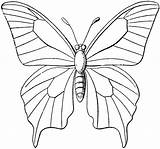 Butterfly Outline Clipart Etc Original sketch template