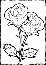 Coloring Pages Printable Rose Beautiful Choose Board Roses Flower sketch template