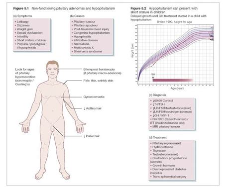 secondary sexual characteristics in females age ptmt