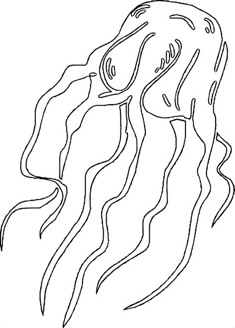 jellyfish coloring pages  print jellyfish coloring page printable