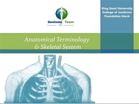 Circumduction Definition Anatomy