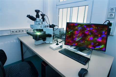 thin section microscopy  comprehensive guide