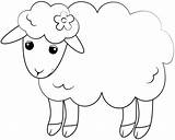 Lamb Sheep Coloring sketch template