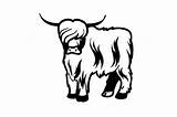 Cow Highland Cricut Scottish Creativefabrica Cattle sketch template