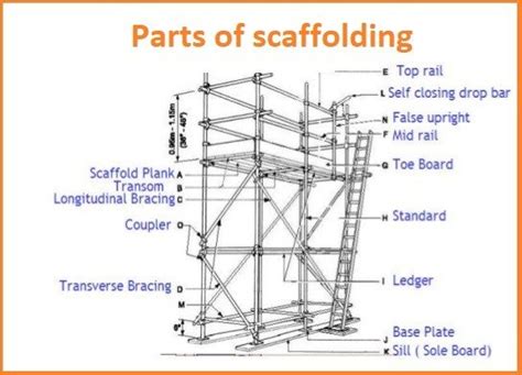 scaffolding parts  rls human care