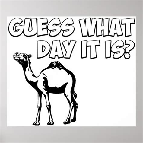 guess what day it is hump day camel poster zazzle