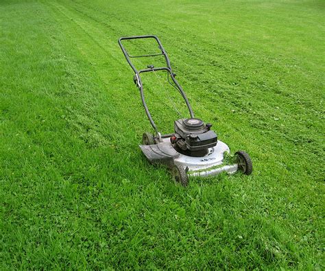 woods wanderer cutting grass