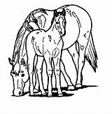Coloring Horse Pages Horses Printable Coloringpagesabc Clip Posted Gif sketch template