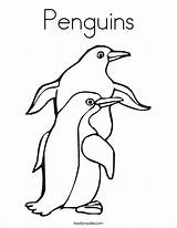 Penguins Coloring Built California Usa sketch template