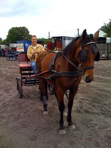 horse ride ii irish fireside travel  culture