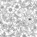 Basford Johanna Coloring Pages Visit sketch template