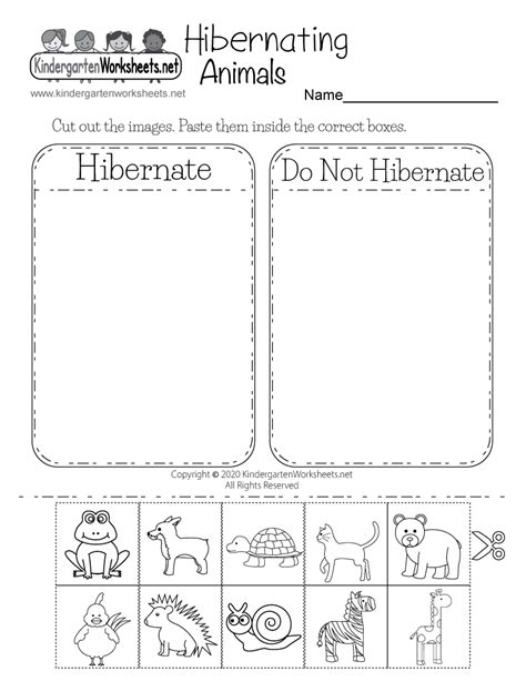 hibernating animals worksheet  printable digital