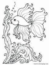 Coloring Pages Ocean Sea Anemone Realistic Lebron James Printable Getdrawings Color Getcolorings sketch template