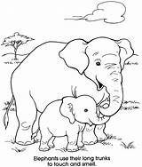 Coloring Pages Elephant Baby Zoo Animals Color Elephants Animal Sheets Mommy Fun Book Drawings Dover Publications Doverpublications Welcome Giraffe Printable sketch template