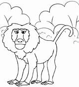 Baboon Coloring Hamadryas Pages sketch template