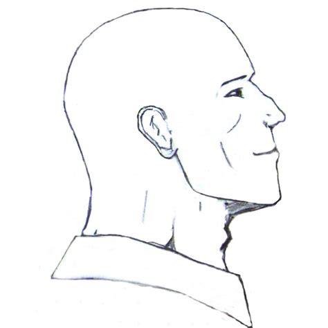 head sideview  smiling  atigr  deviantart