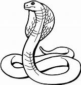Snake Pages Coloring Printable Coloringme sketch template