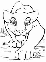 Lion Baby Coloring Pages Printable Getcolorings Color Print sketch template