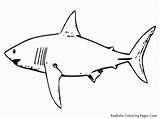 Coloring Pages Shark Printable Kids Sharks Hammerhead Sheets Great Drawing Outline Megalodon Print Template Printables Tropical Cut Clipart Fish Bestcoloringpagesforkids sketch template
