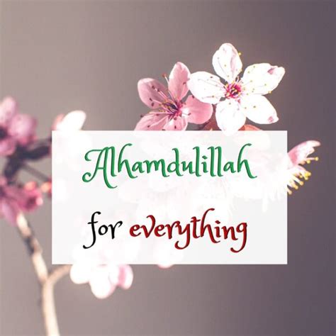 alhamdulillah   quotes  english images wallpaper dp
