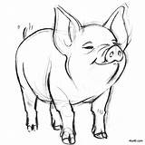 Pig Coloring Smiling Pages Pigs Kids Gif sketch template